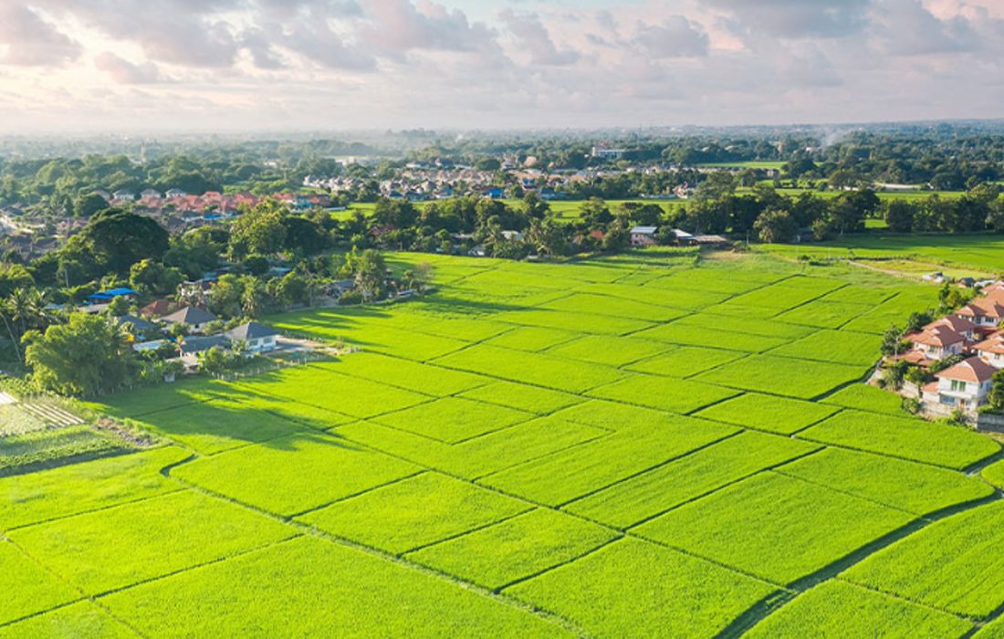 Land Outright and Joint Venture